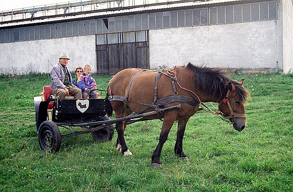 Foto:: Kutschfahrt / Mragowo / September 1994 (Foto,Fotos,Bilder,Bild,)