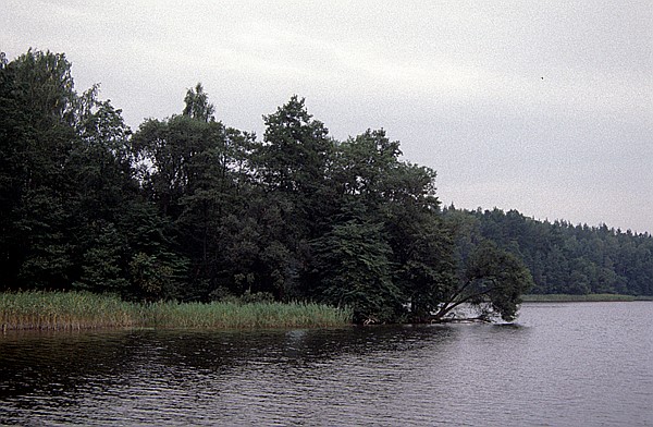 Foto:: Bootsfahrt / Mikolajki  - Ruciane-Nida / September 1994 (Foto,Fotos,Bilder,Bild,)
