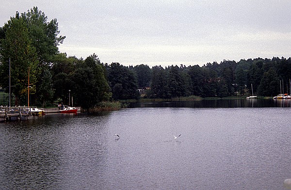 Foto:: Bootsfahrt / Mikolajki  - Ruciane-Nida / September 1994 (Foto,Fotos,Bilder,Bild,)