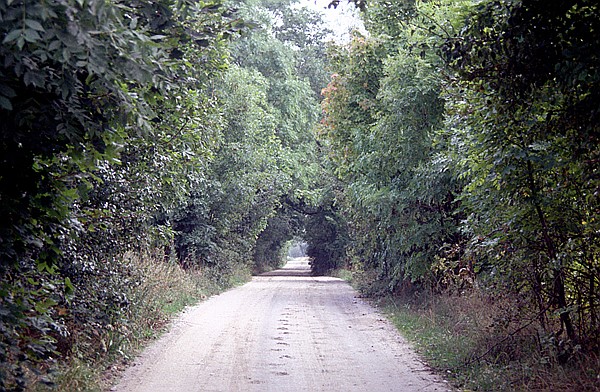 Foto:: Wanderung / Mragowo / September 1994 (Foto,Fotos,Bilder,Bild,)