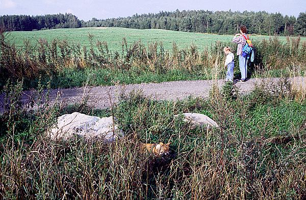 Foto:: Wanderung / Mragowo / September 1994 (Foto,Fotos,Bilder,Bild,)