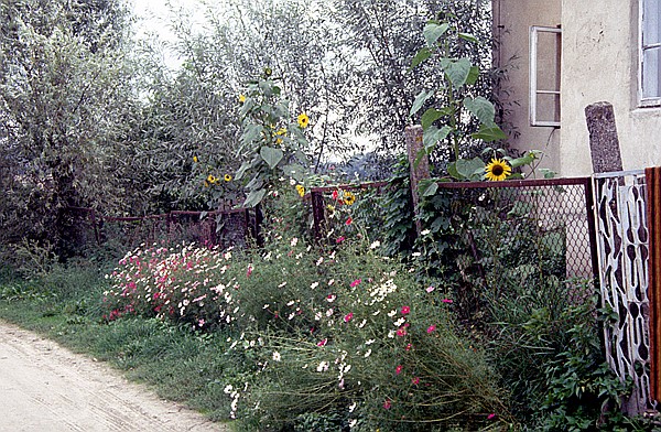 Foto:: Wanderung / Mragowo / September 1994 (Foto,Fotos,Bilder,Bild,)