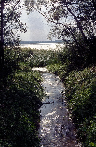 Foto:: Wanderung / Talty - Ryn / September 1994 (Foto,Fotos,Bilder,Bild,)