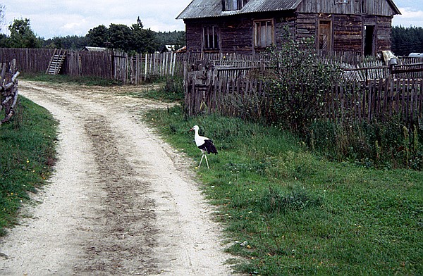 Foto:: Wanderung / Krutyn / September 1994 (Foto,Fotos,Bilder,Bild,)