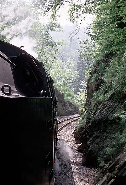 Foto:: DR 99 7246-4 / Maegdesprung - Alexisbad / 10.06.1996 (Foto,Fotos,Bilder,Bild,)