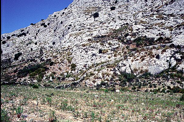 Foto:: Wanderung Cami des Barrances / Soller / Juli 1998 (Foto,Fotos,Bilder,Bild,)