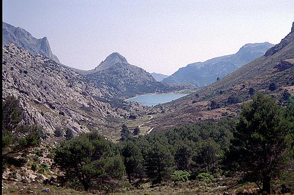 Foto:: Wanderung Cami des Barrances / Soller / Juli 1998 (Foto,Fotos,Bilder,Bild,)