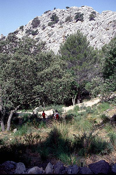 Foto:: Wanderung Cami des Barrances / Soller / Juli 1998 (Foto,Fotos,Bilder,Bild,)