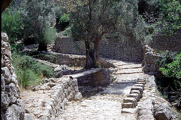 Foto:: Wanderung Cami des Barrances / Soller / Juli 1998 (Foto,Fotos,Bilder,Bild,)