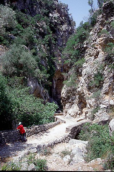 Foto:: Wanderung Cami des Barrances / Soller / Juli 1998 (Foto,Fotos,Bilder,Bild,)
