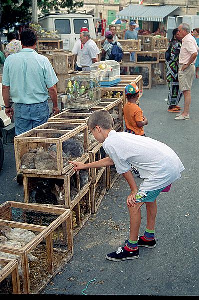 Foto:: Wochenmarkt / Sineu / Juli 1998 (Foto,Fotos,Bilder,Bild,)