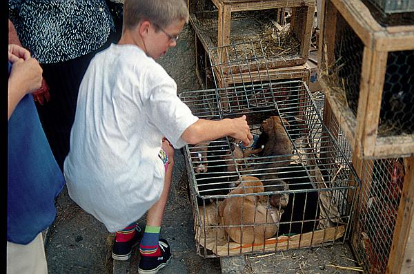 Foto:: Wochenmarkt / Sineu / Juli 1998 (Foto,Fotos,Bilder,Bild,)