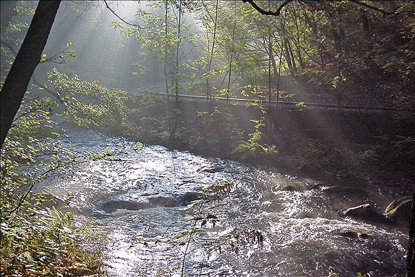 Foto:: Weisseritztalbahn / 20.10.2001 (Foto,Fotos,Bilder,Bild,)