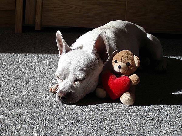 Foto:: Eddie / Schwerte / 19.10.2004 (Foto,Fotos,Bilder,Bild,)