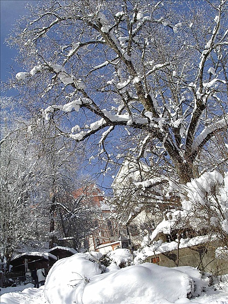 Foto:: Reisen / Muenchen (Foto,Fotos,Bilder,Bild,)