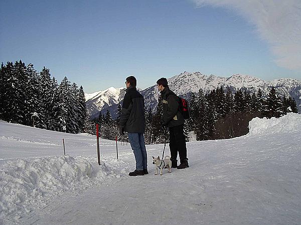 Foto:: Reisen / Muenchen (Foto,Fotos,Bilder,Bild,)