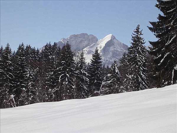 Foto:: Reisen / Muenchen (Foto,Fotos,Bilder,Bild,)