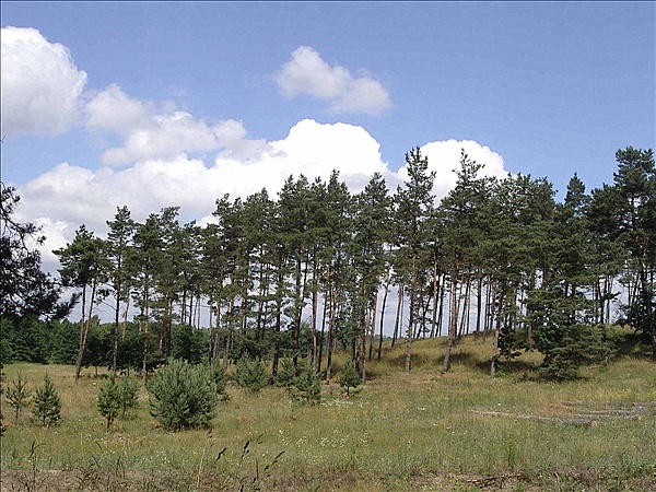 Foto:: Reisen / Masuren (Foto,Fotos,Bilder,Bild,)