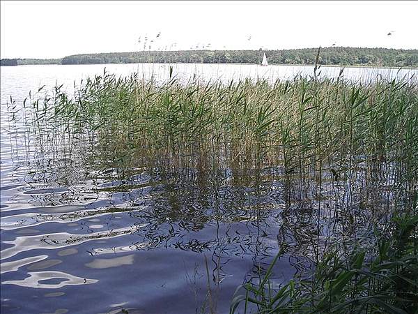 Foto:: Reisen / Masuren (Foto,Fotos,Bilder,Bild,)