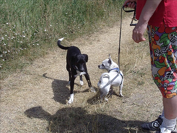 Foto:: Reisen / Masuren (Foto,Fotos,Bilder,Bild,)