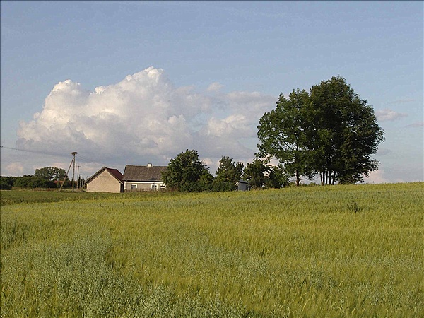 Foto:: Reisen / Masuren (Foto,Fotos,Bilder,Bild,)