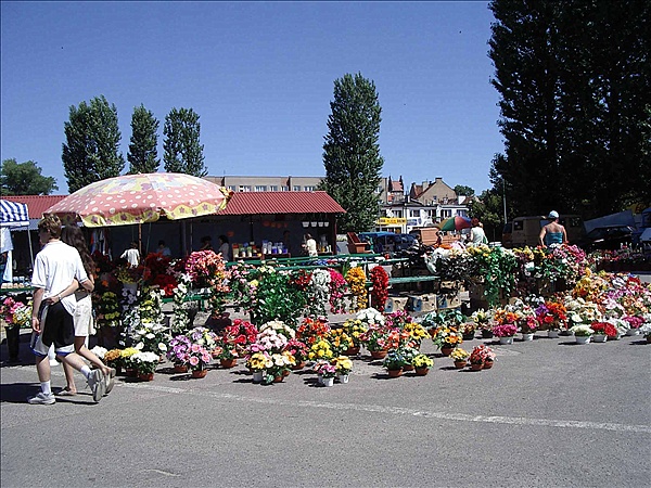 Foto:: Reisen / Masuren (Foto,Fotos,Bilder,Bild,)