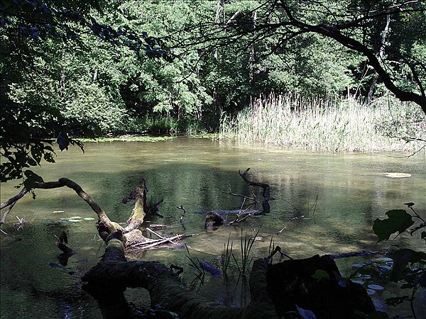 Foto:: Reisen / Masuren (Foto,Fotos,Bilder,Bild,)