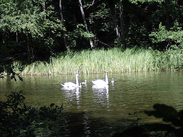 Foto:: Reisen / Masuren (Foto,Fotos,Bilder,Bild,)