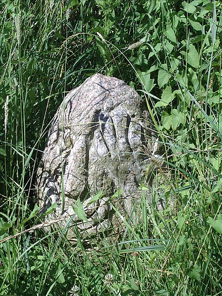 Foto:: Reisen / Masuren (Foto,Fotos,Bilder,Bild,)