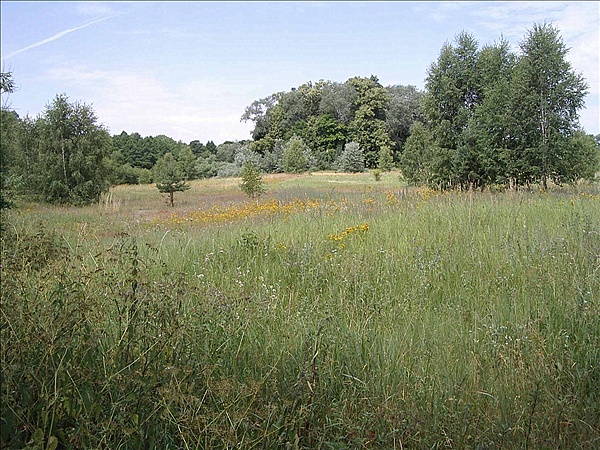 Foto:: Reisen / Masuren (Foto,Fotos,Bilder,Bild,)