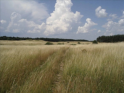 Foto:: Reisen / Masuren (Foto,Fotos,Bilder,Bild,)