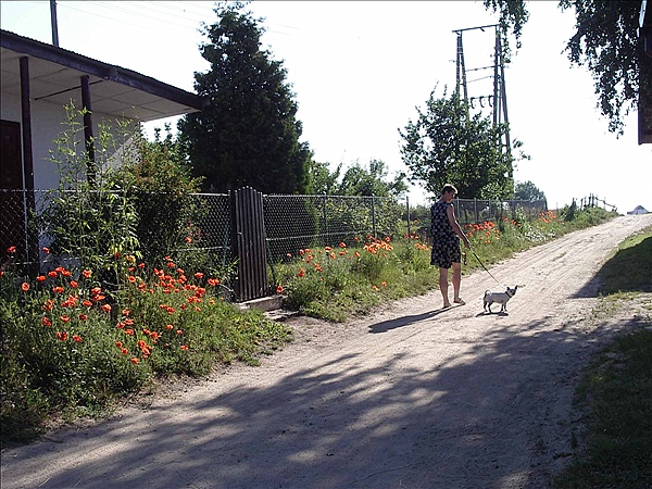 Foto:: Reisen / Masuren (Foto,Fotos,Bilder,Bild,)