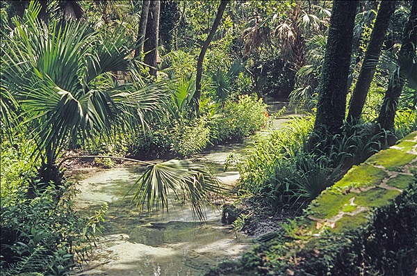 Foto:: Rundgang / Silver Springs, FL / 17.07.2005 (Foto,Fotos,Bilder,Bild,)