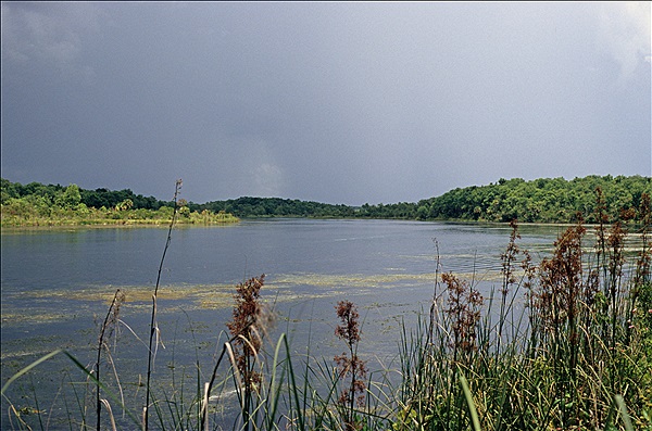 Foto:: Wanderung / Florida / 17.07.2005 (Foto,Fotos,Bilder,Bild,)