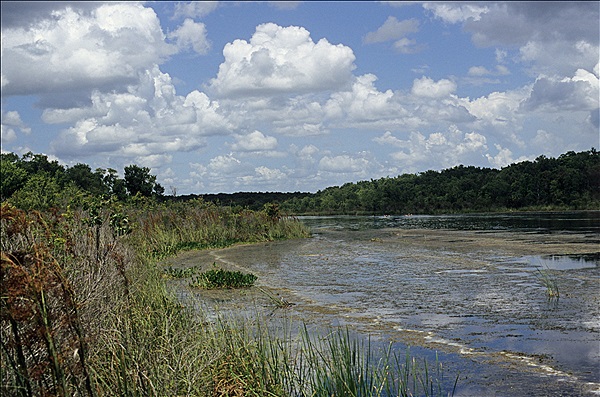 Foto:: Wanderung / Florida / 17.07.2005 (Foto,Fotos,Bilder,Bild,)