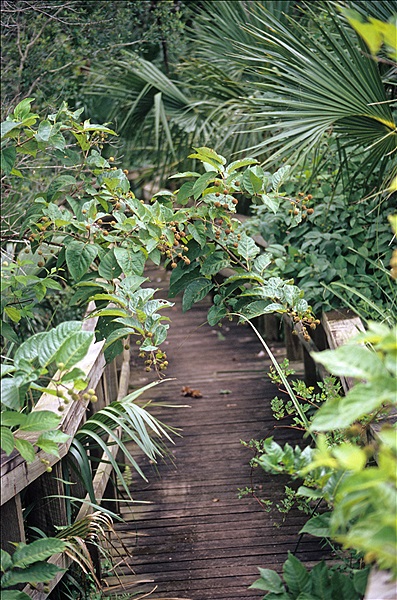 Foto:: Wanderung / Florida / 17.07.2005 (Foto,Fotos,Bilder,Bild,)