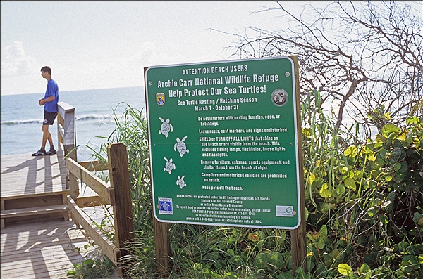 Foto:: Strand / Melbourne Beach, FL / 18.07.2005 (Foto,Fotos,Bilder,Bild,)