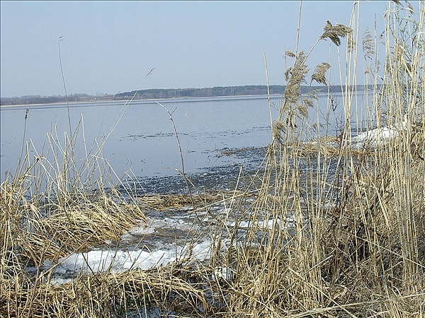 Foto:: Reisen / Masuren / 2006 (Foto,Fotos,Bilder,Bild,)
