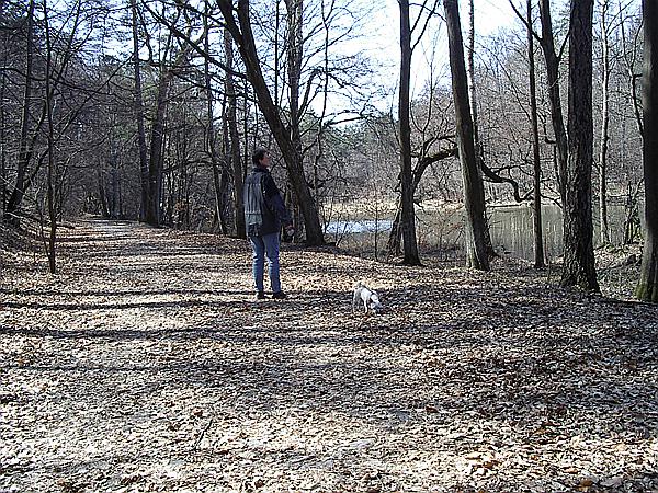 Foto:: Reisen / Masuren / 2006 (Foto,Fotos,Bilder,Bild,)