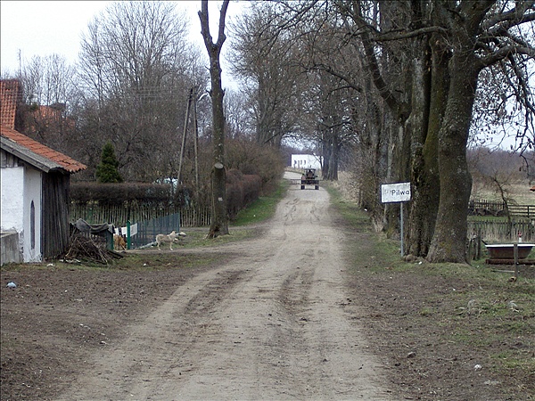 Foto:: Reisen / Masuren / 2006 (Foto,Fotos,Bilder,Bild,)