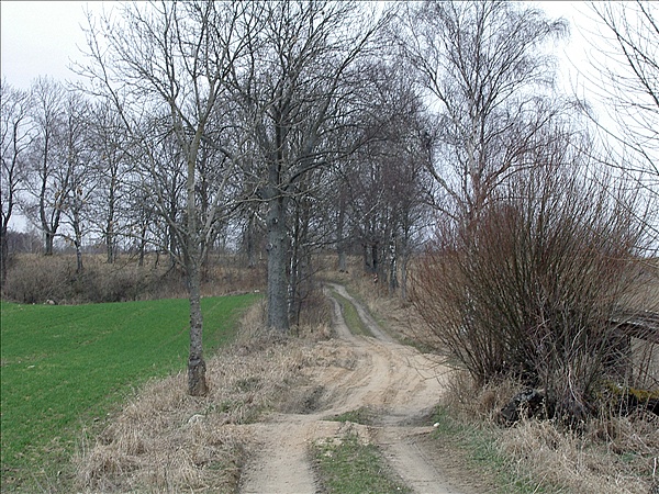 Foto:: Reisen / Masuren / 2006 (Foto,Fotos,Bilder,Bild,)