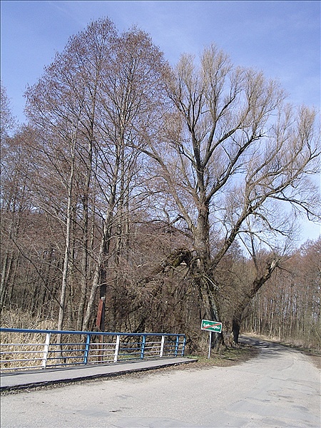 Foto:: Reisen / Masuren / 2006 (Foto,Fotos,Bilder,Bild,)