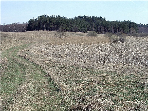 Foto:: Reisen / Masuren / 2006 (Foto,Fotos,Bilder,Bild,)