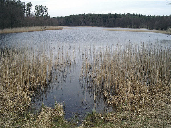 Foto:: Reisen / Masuren / 2006 (Foto,Fotos,Bilder,Bild,)