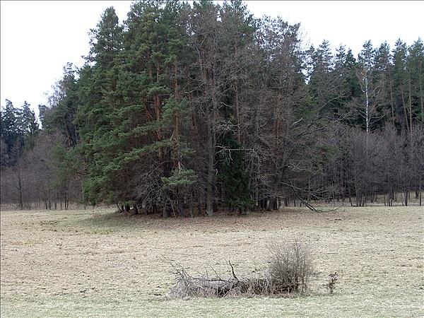 Foto:: Reisen / Masuren / 2006 (Foto,Fotos,Bilder,Bild,)