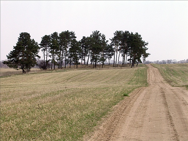 Foto:: Reisen / Masuren / 2006 (Foto,Fotos,Bilder,Bild,)