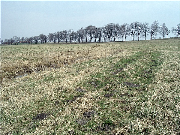 Foto:: Reisen / Masuren / 2006 (Foto,Fotos,Bilder,Bild,)