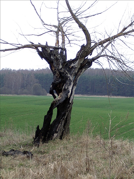Foto:: Reisen / Masuren / 2006 (Foto,Fotos,Bilder,Bild,)