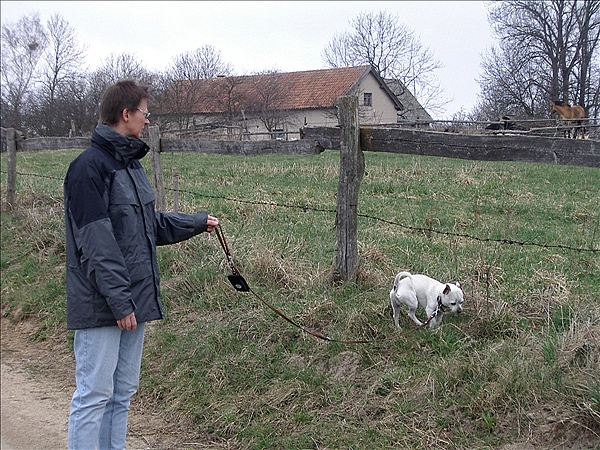Foto:: Reisen / Masuren / 2006 (Foto,Fotos,Bilder,Bild,)