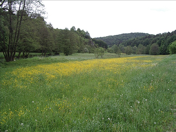 Foto:: Reisen / Bayerischer Wald / 2006 (Foto,Fotos,Bilder,Bild,)
